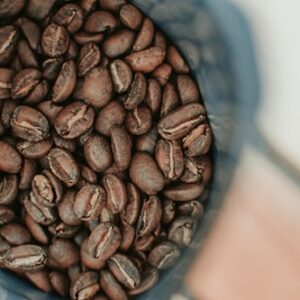 Sierra Blue Artisan Blend