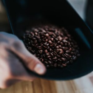 Sierra Blue Cold Brew
